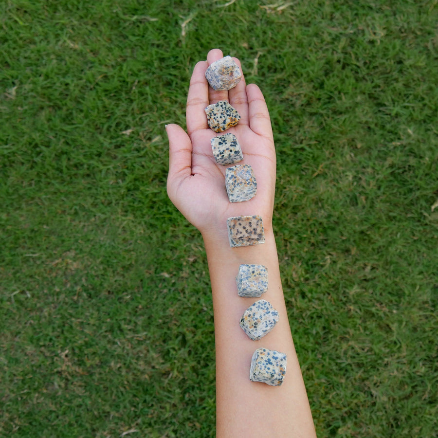 1lb Dalmatian Jasper Crystal - Healing Crystals Gift Set - Healing Crystal Decor