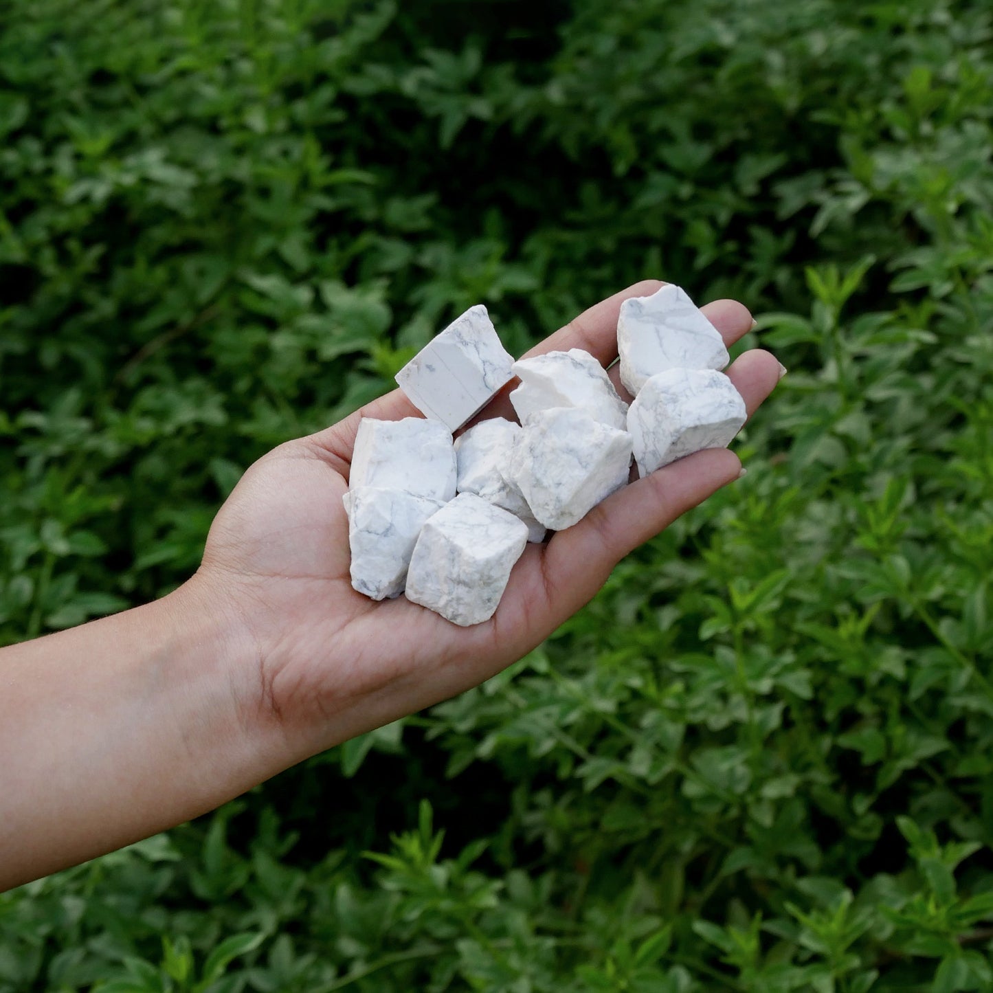 1 Lb Raw White Howlite - Raw Gemstones For Tumbling - Raw Rock Crystal - Bulk Raw Stones - Crystal Gift Set