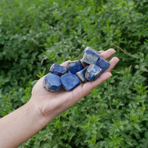 1 Lb Lapis Lazuli Rough Stone - Unpolished Gem Stones - Healing Crystals - Crystal Room Decor