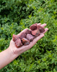 1 Lb Raw Red Jasper - Raw Jasper Rock - Healing Crystals And Stones Gift Set