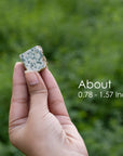 1lb Dalmatian Jasper Crystal - Healing Crystals Gift Set - Healing Crystal Decor